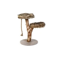 Beeztees Designed By Lotte Krabpaal Aviva - 50x50x68 Cm -katten benodigdheden beeztees designed by lotte krabpaal aviva 50x50x68 3