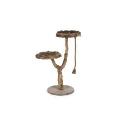 Beeztees Designed By Lotte Krabpaal Elora - 50x50x100 Cm -katten benodigdheden beeztees designed by lotte krabpaal elora 50x50x10 3