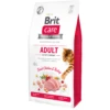 Brit Brit Adult Activity Support 2 Brit Brit Adult Activity Support -katten benodigdheden brit brit adult activity support