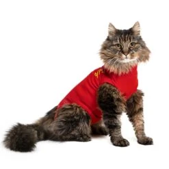 MPS Medical Pet Shirt Kat - 1 Stuk -katten benodigdheden mps medical pet shirt kat 1 stuk 7