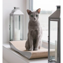 MyKotty MyKotty TOBI - Krabmeubel Karton - Grey - 59x25x6.5 Cm